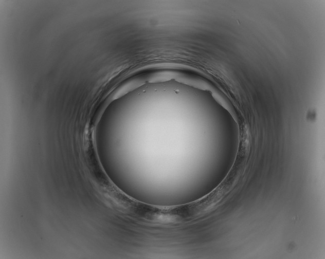 X0000091450360200708161302