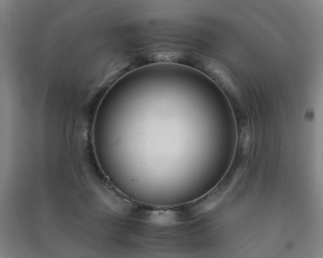 X0000091450363200708161302