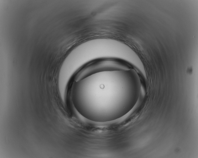 X0000091450364200708161302