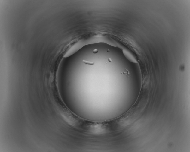 X0000091450365200708161302