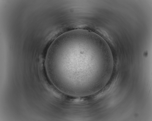 X0000091450366200708161302