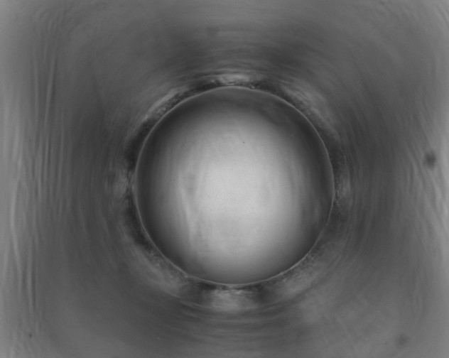 X0000091450367200708161303