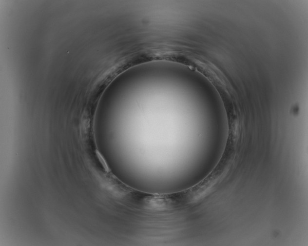 X0000091450372200708161303