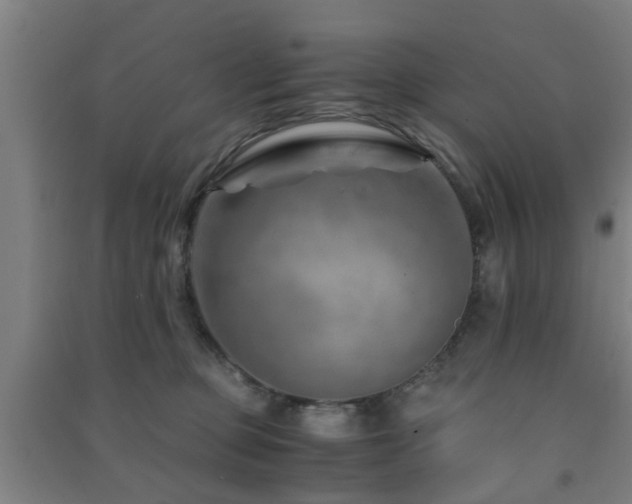 X0000091450373200708161303