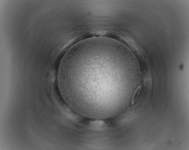 X0000091450374200708161303