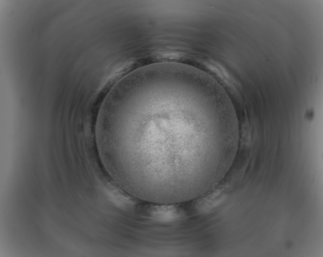 X0000091450377200708161303