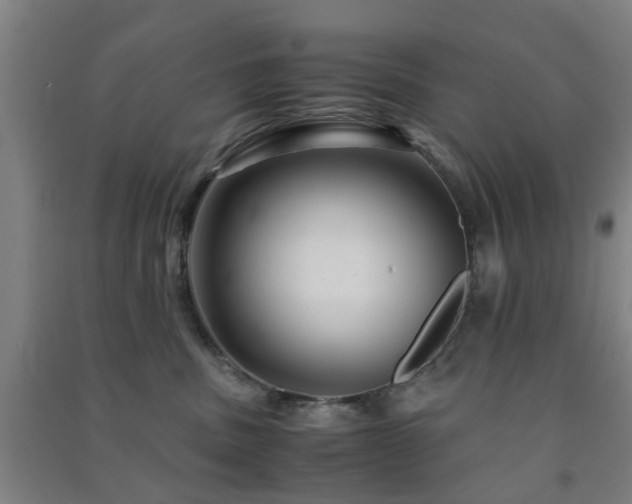 X0000091450379200708161303