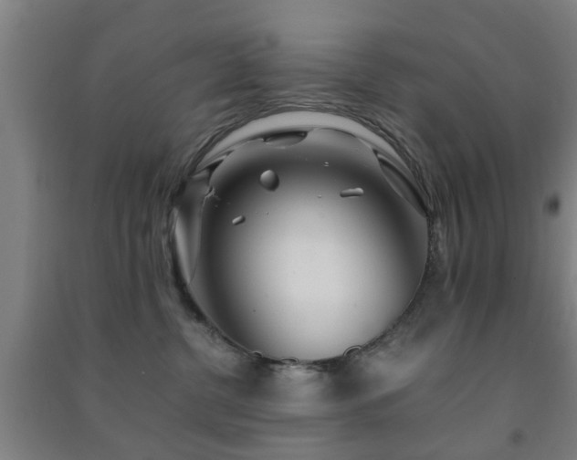 X0000091450380200708161303