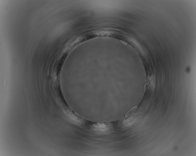 X0000091450381200708161303