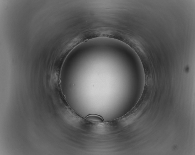 X0000091450382200708161303