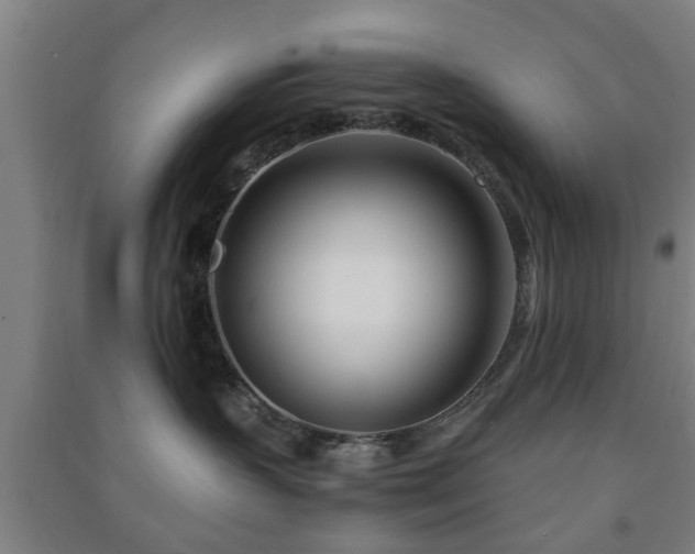 X0000091450383200708161303
