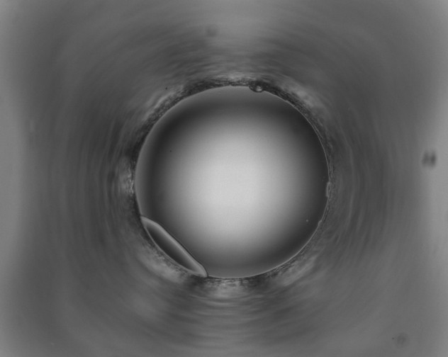 X0000091450384200708161303