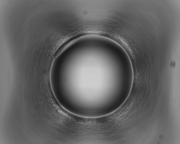 X0000091450385200708161302