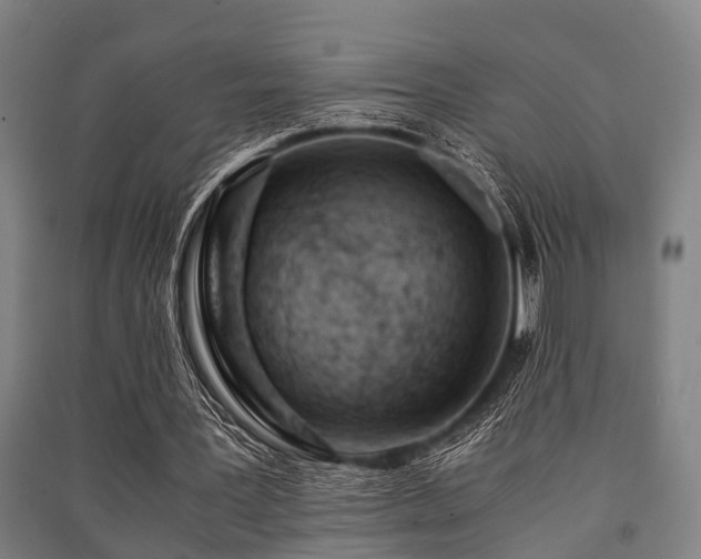 X0000091450387200708161302