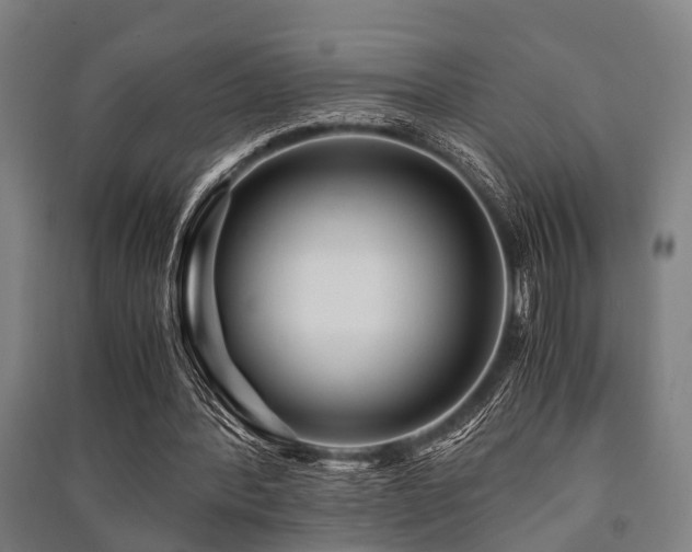 X0000091450388200708161302