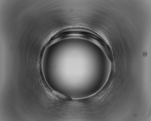 X0000091450389200708161302