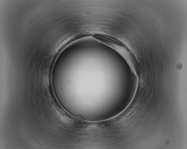 X0000091450390200708161302