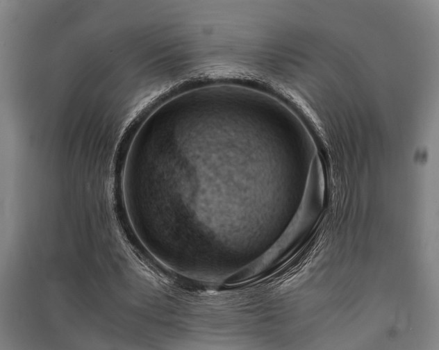 X0000091450391200708161302
