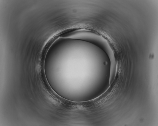 X0000091450392200708161302
