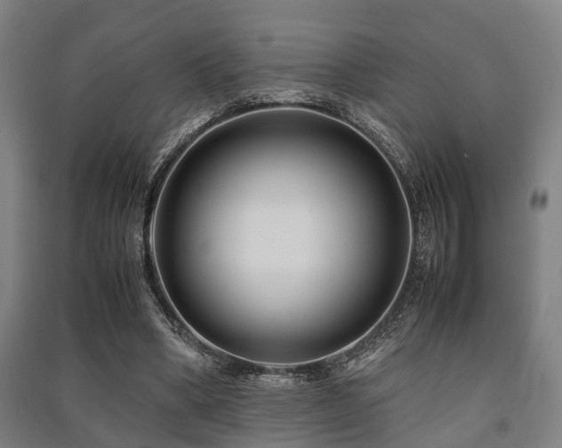 X0000091450394200708161302