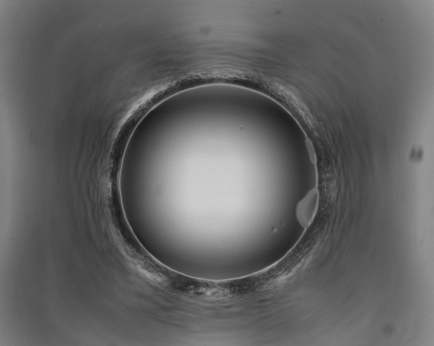 X0000091450395200708161302
