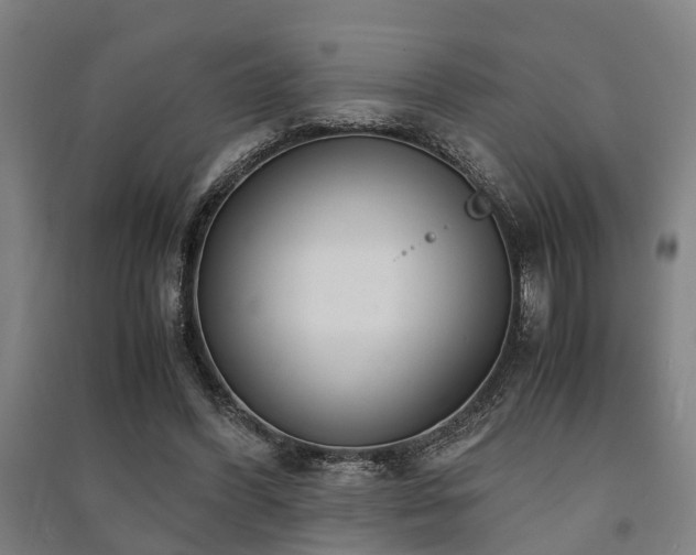 X0000091450396200708161302