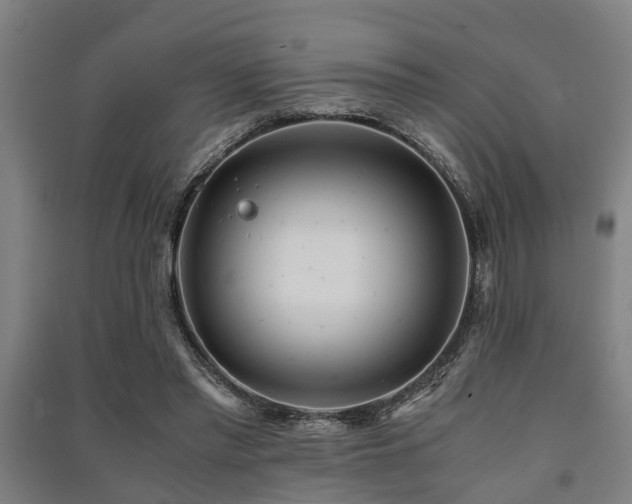 X0000091450397200708161302