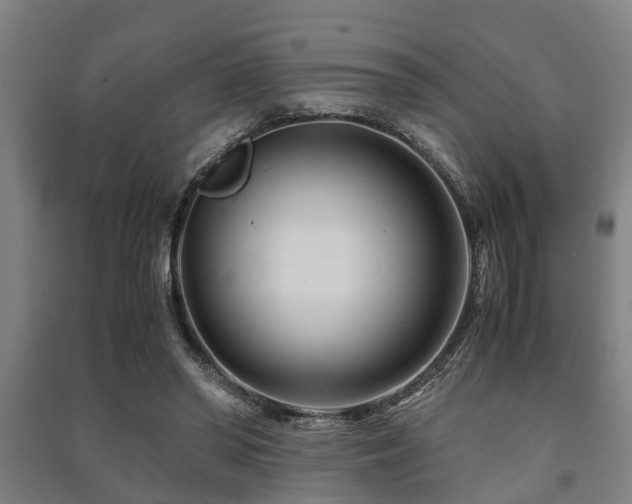 X0000091450398200708161302