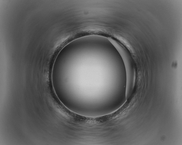 X0000091450399200708161302
