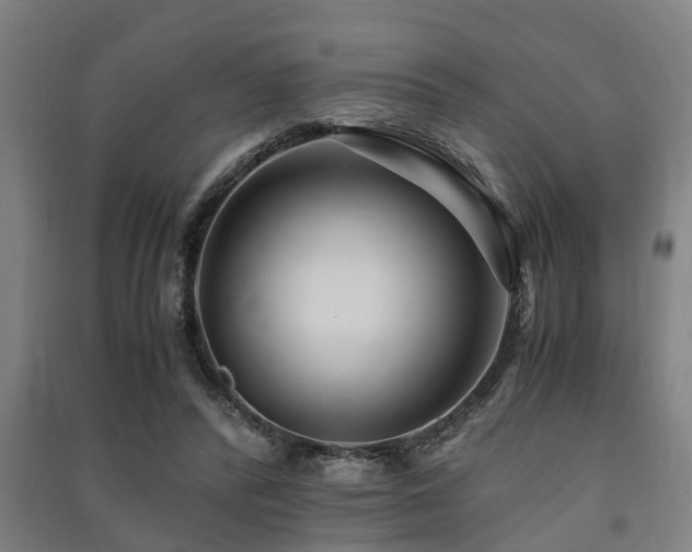 X0000091450400200708161302
