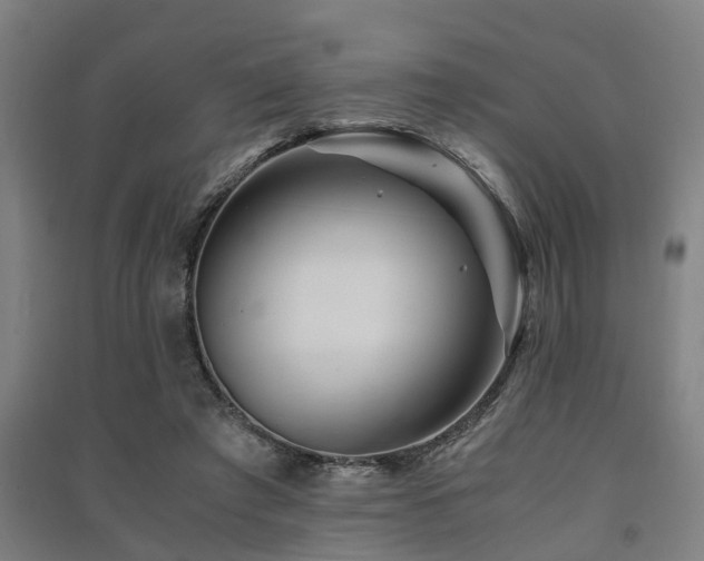 X0000091450401200708161302