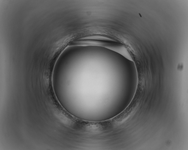 X0000091450402200708161302