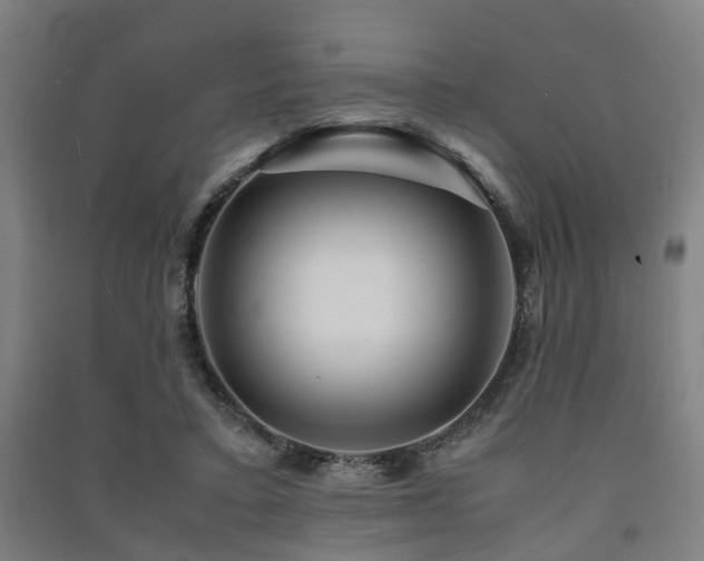 X0000091450403200708161302