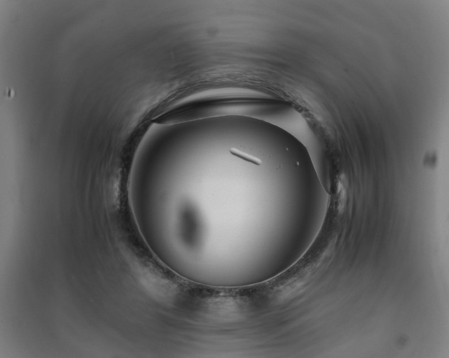 X0000091450404200708161302