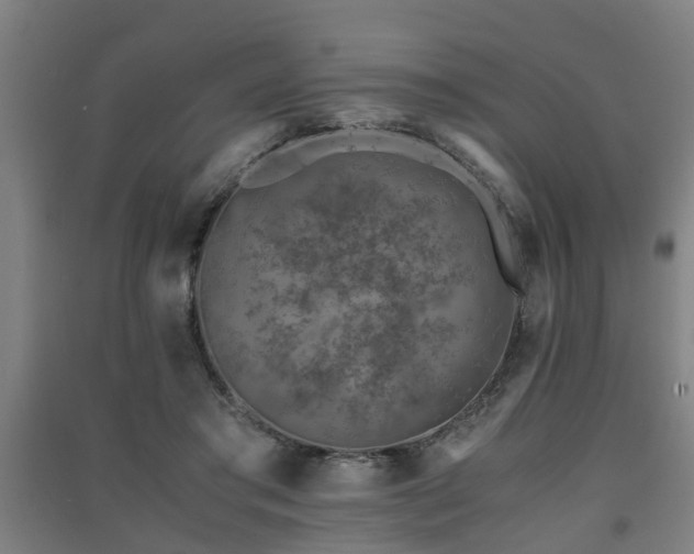 X0000091450405200708161302