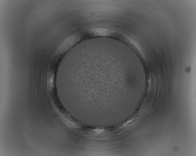 X0000091450406200708161302