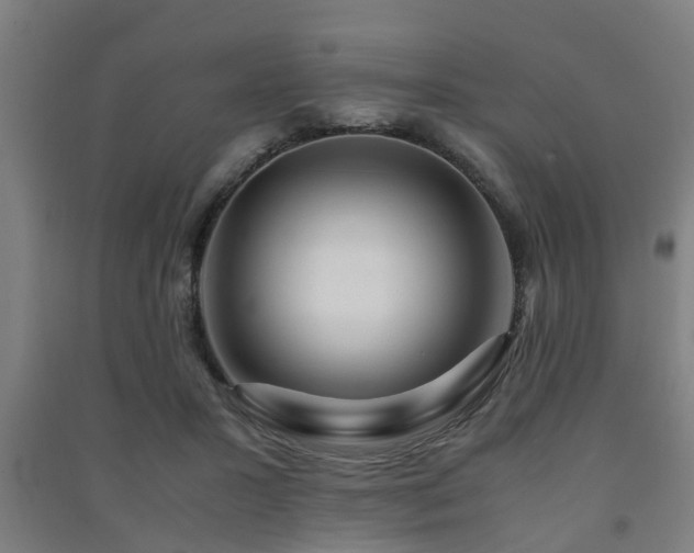 X0000091450407200708161302