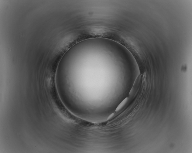 X0000091450408200708161302