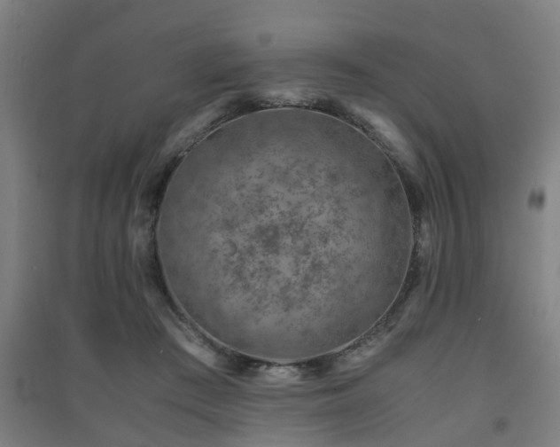 X0000091450409200708161302
