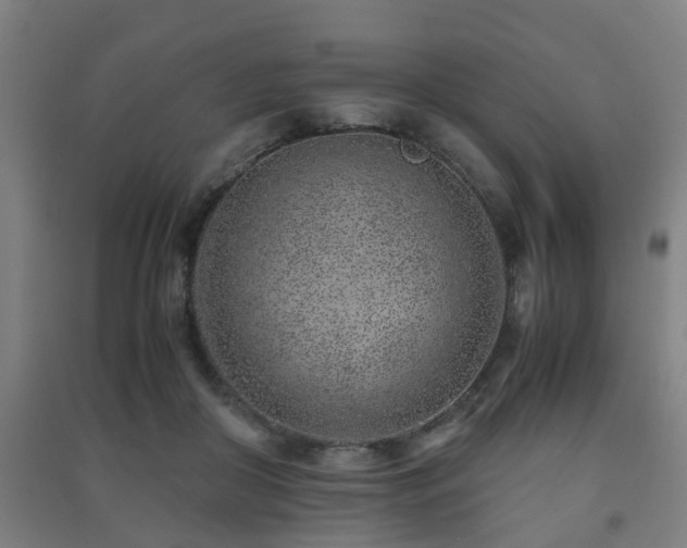 X0000091450410200708161302