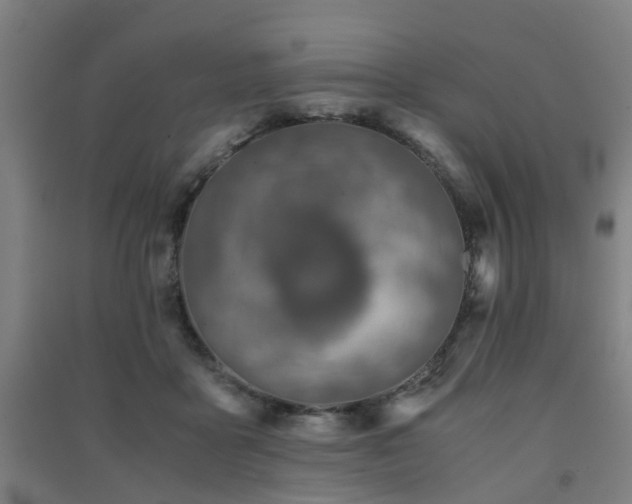 X0000091450411200708161302