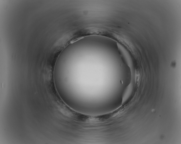 X0000091450413200708161302