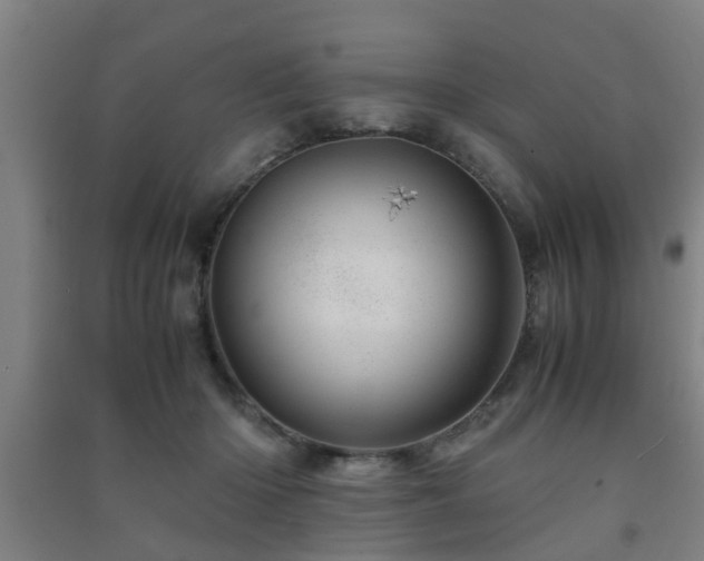 X0000091450414200708161302