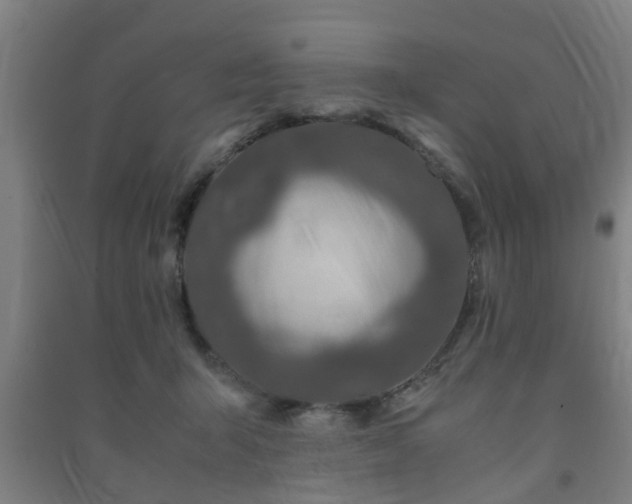 X0000091450415200708161302