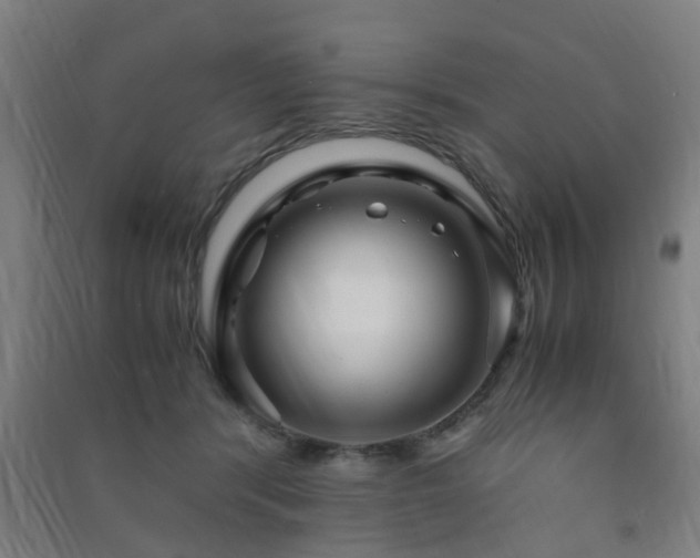X0000091450416200708161302