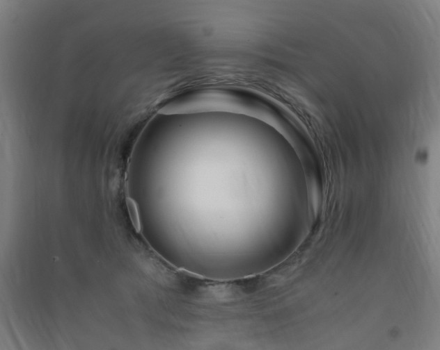 X0000091450417200708161302