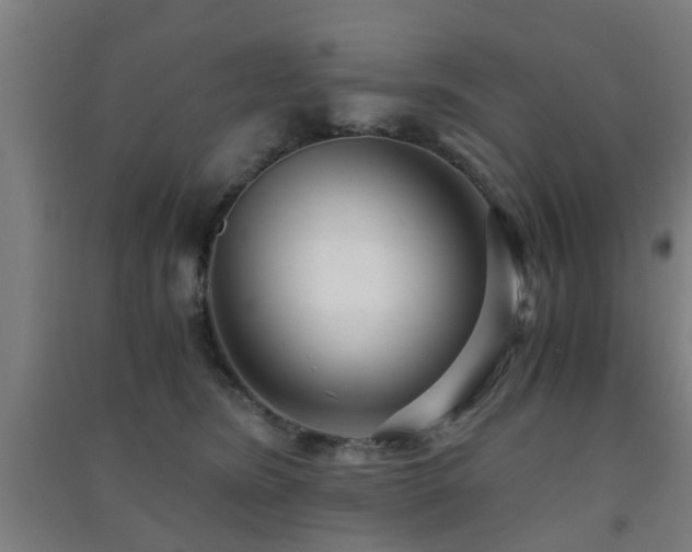X0000091450420200708161302