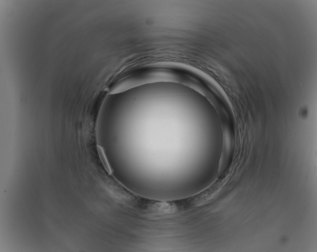 X0000091450421200708161302