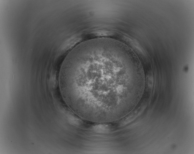 X0000091450422200708161302