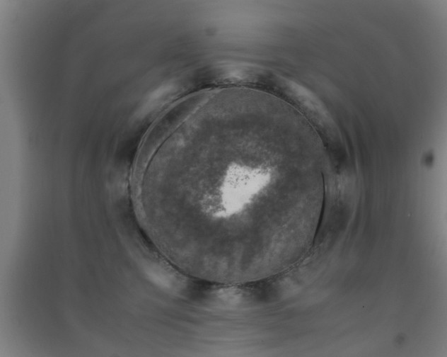 X0000091450423200708161302